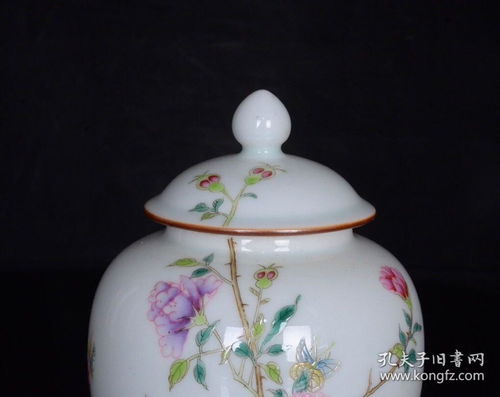 清雍正粉彩花鳥(niǎo)牡丹紋蓋罐一對(duì) 芍藥精品撿漏記